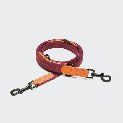 Cloud7 Dog Leash Madeira