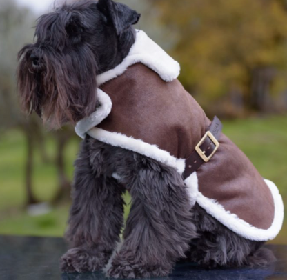 EMMA FIRENZE DOG Bombardier Coat - Made to Measure