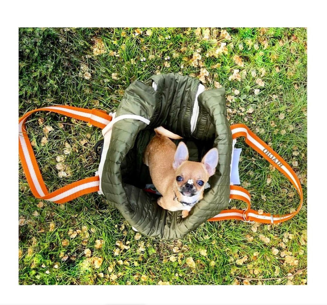 Comfortable dog carry bag