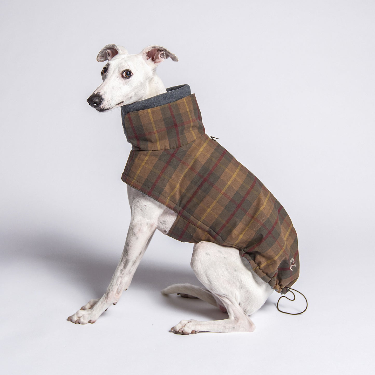 brooklyn waxed tartan dog coat