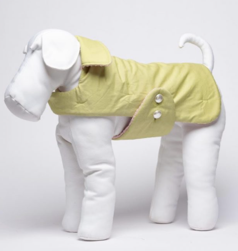 weatherbeeta dog coat