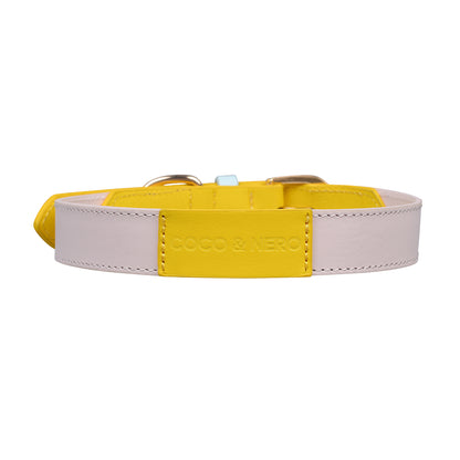 Dog Collar & Lead SET by Coco & Nero Sydney in Lemon, Pink & Blue