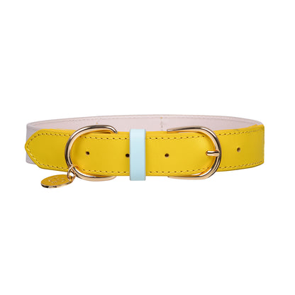 Dog Collar & Lead SET by Coco & Nero Sydney in Lemon, Pink & Blue