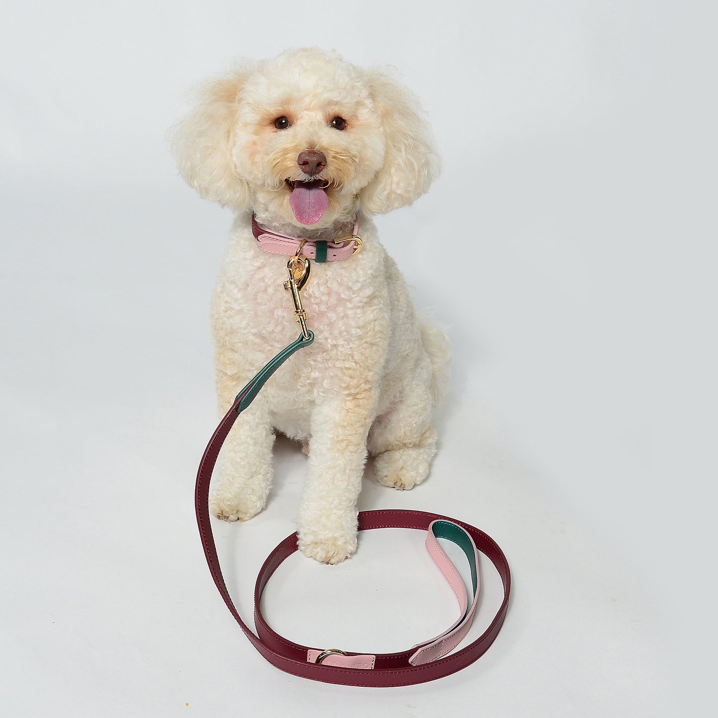 Dog Collar & Lead SET by Coco & Nero Sydney in Pomegranate, Rose & Green